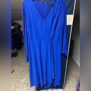 Tahari women's long sleeved semi formal dress.